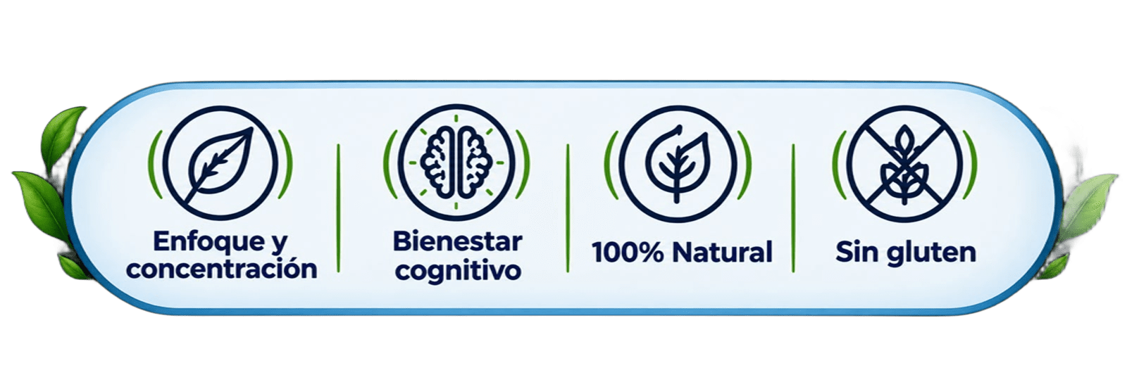 Enfoque y concentración, Bienestar cognitivo, 100% Natural, Sin gluten