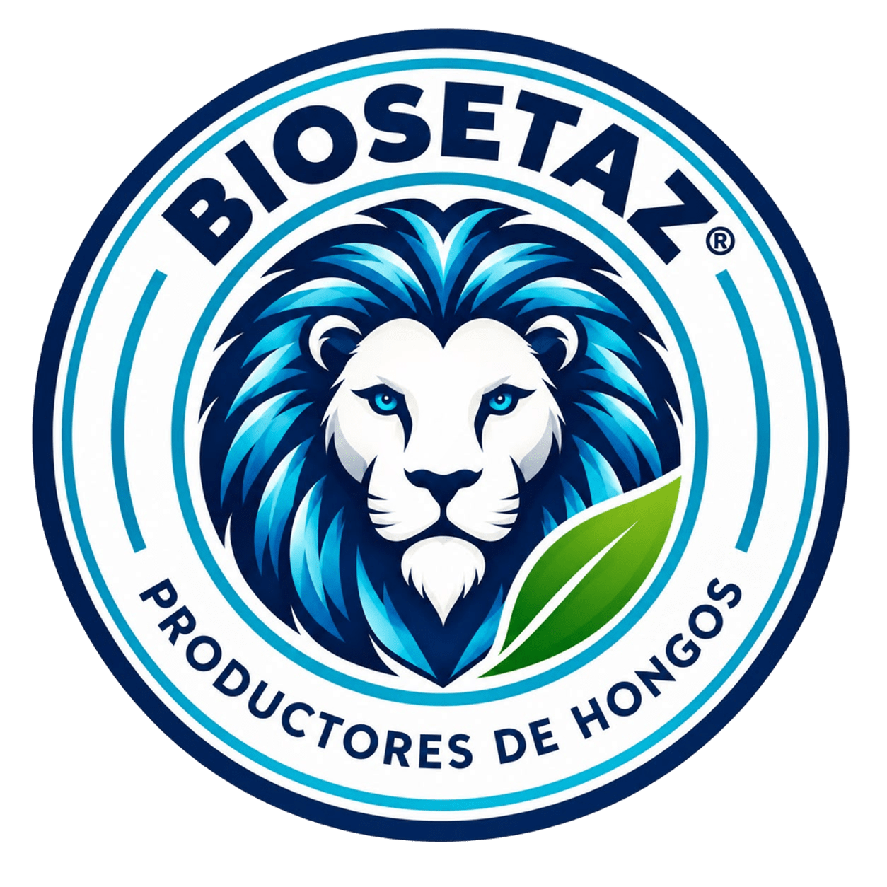BIOSETAZ